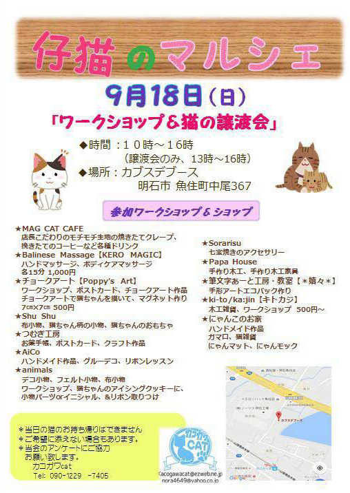 kakogawa-cat-koneko-marche
