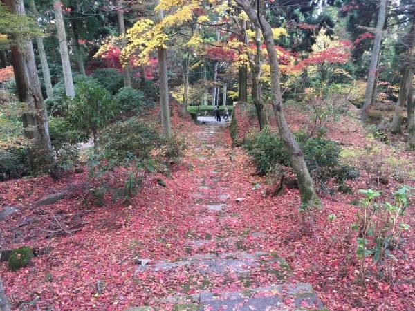 古刹 播州清水寺 絶景の紅葉 を見にいってきた 加東市 横尾さん 僕 泳いでますか 兵庫県加古川市の地域情報サイト