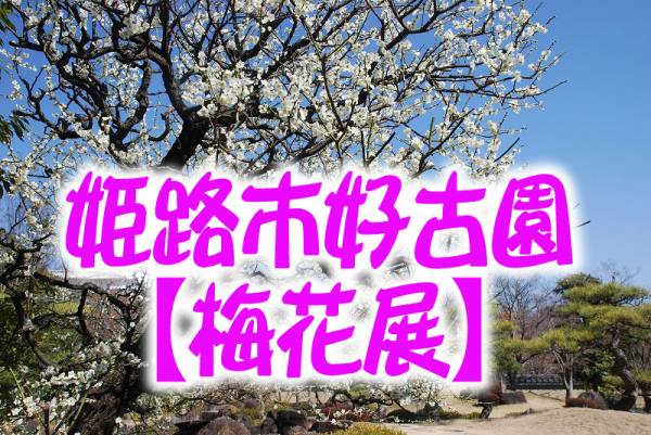 姫路市好古園 梅花展 が開催 横尾さん 僕 泳いでますか 兵庫県加古川市の地域情報サイト