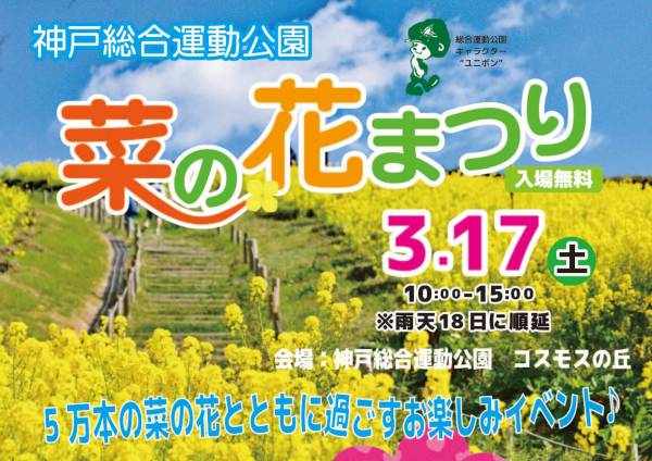 5万本菜の花 菜の花まつり18 神戸総合運動公園コスモスの丘 神戸市須磨区 横尾さん 僕 泳いでますか 兵庫県加古川市の地域情報サイト