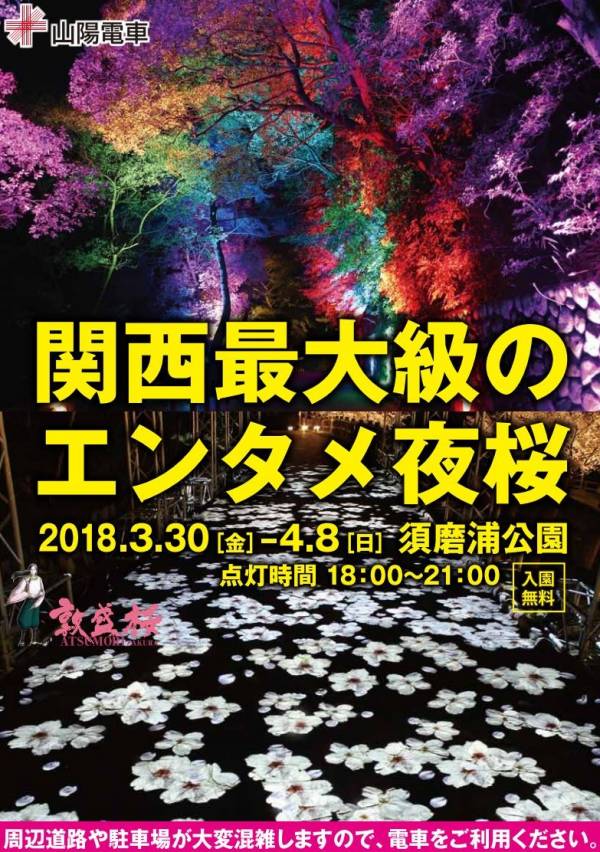 敦盛桜18 須磨浦 夜桜ライトアップ 須磨浦公園 須磨浦山上遊園 神戸市須磨区 横尾さん 僕 泳いでますか 兵庫県加古川市の地域情報サイト