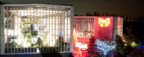 淡路島夢舞台 奇跡の星の植物館クリスマスフラワーショー18 北欧のクリスマス が開催 場所は 横尾さん 僕 泳いでますか 兵庫県加古川市の地域情報サイト