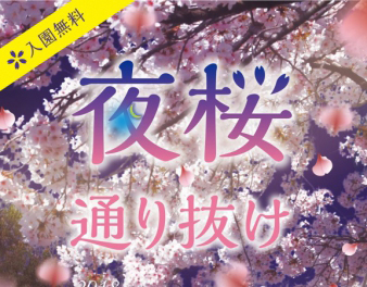 神戸市立王子動物園 夜桜通り抜け19 が開催 場所は 横尾さん 僕 泳いでますか 兵庫県加古川市の地域情報サイト