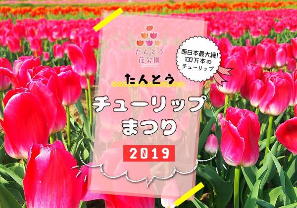 豊岡市但東町たんとう花公園 19たんとうチューリップまつり が19年4月10日 水 4月下旬まで開催 場所は 横尾さん 僕 泳いでますか 兵庫県加古川市の地域情報サイト