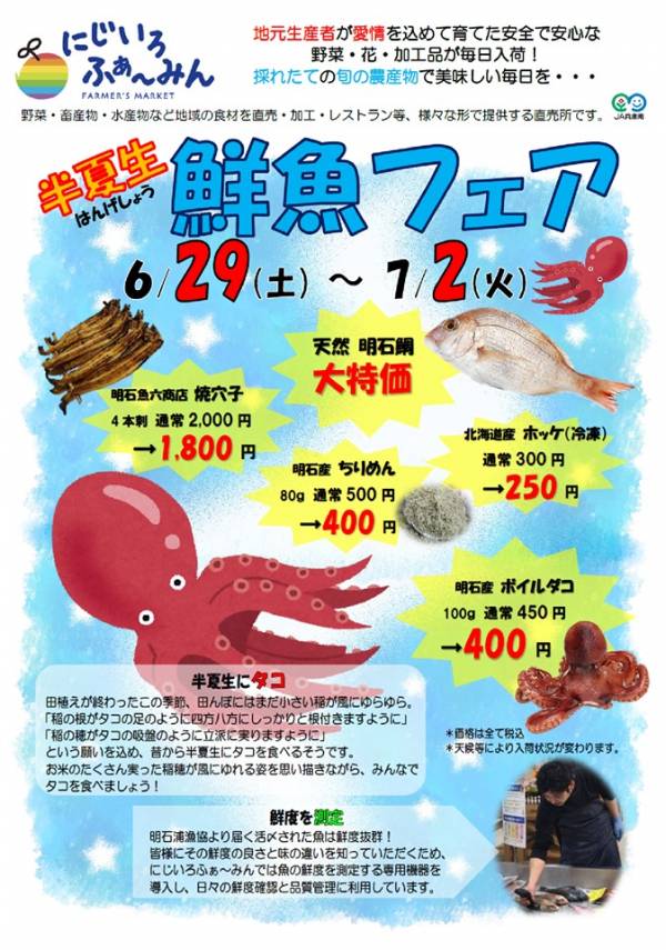 半夏生鮮魚フェア にじいろふぁ みん 稲美町 横尾さん 僕 泳いでますか 兵庫県加古川市の地域情報サイト