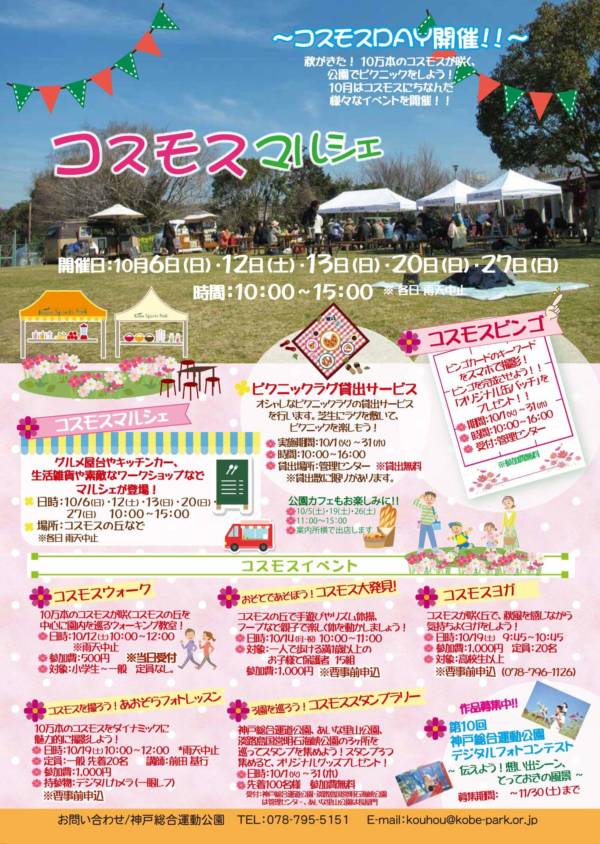 神戸総合運動公園 コスモスday 神戸市須磨区 横尾さん 僕 泳いでますか 兵庫県加古川市の地域情報サイト